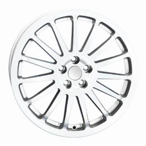 DTM WHITE